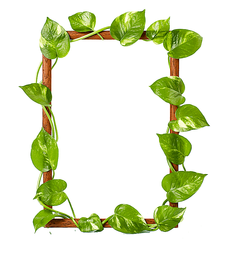 png clipart brown wooden frame green leaves frame raster graphics leaf green leaves border
