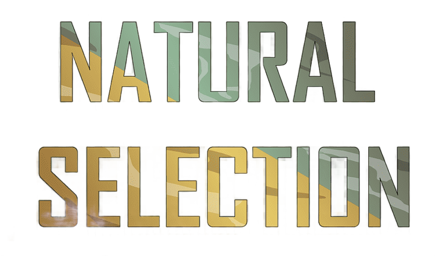 png clipart business real estate service advertising gp color imaging group natural select