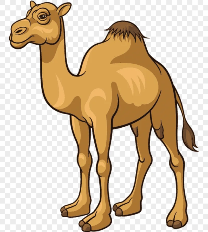 png clipart camel cartoon cartoon camel material cartoon character mammal