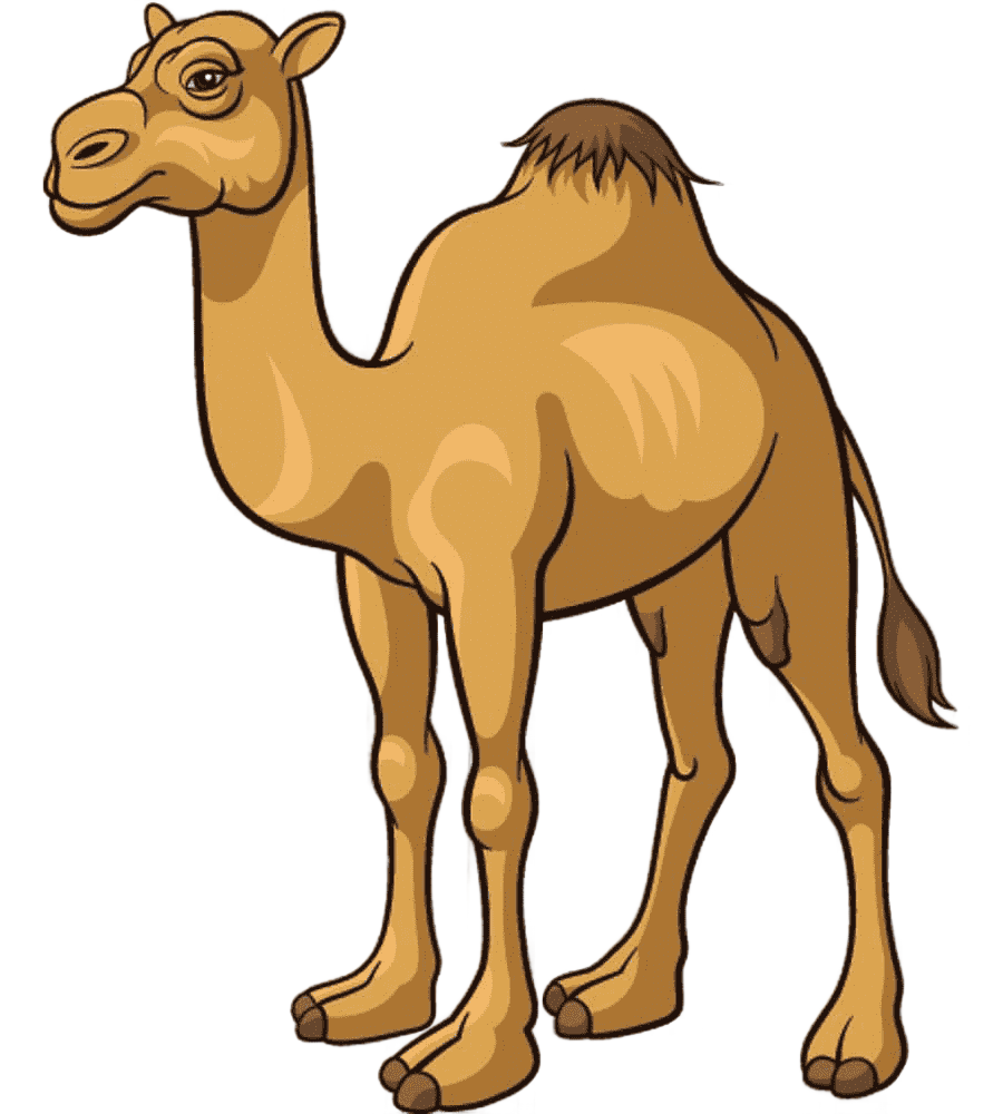 png clipart camel cartoon cartoon camel material cartoon character mammal