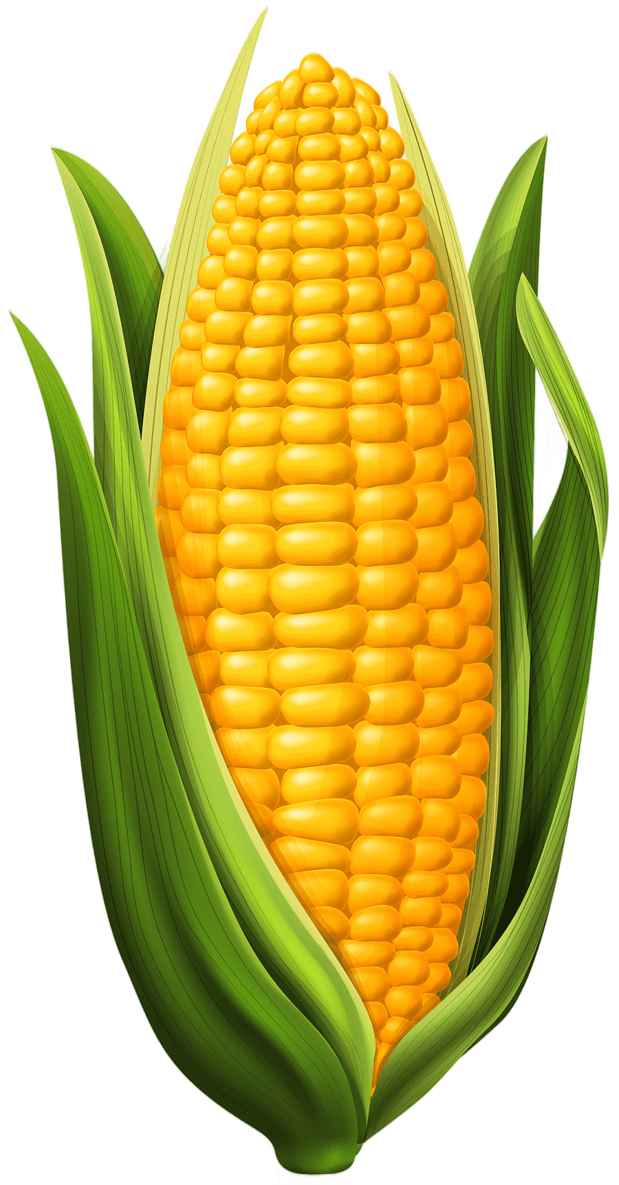 png clipart candy corn corn dog corn on the cob maize corn natural foods food