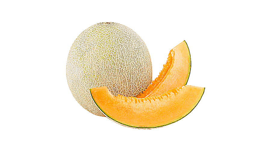 png clipart cantaloupe honeydew charentais melon santa claus melon melon food eating