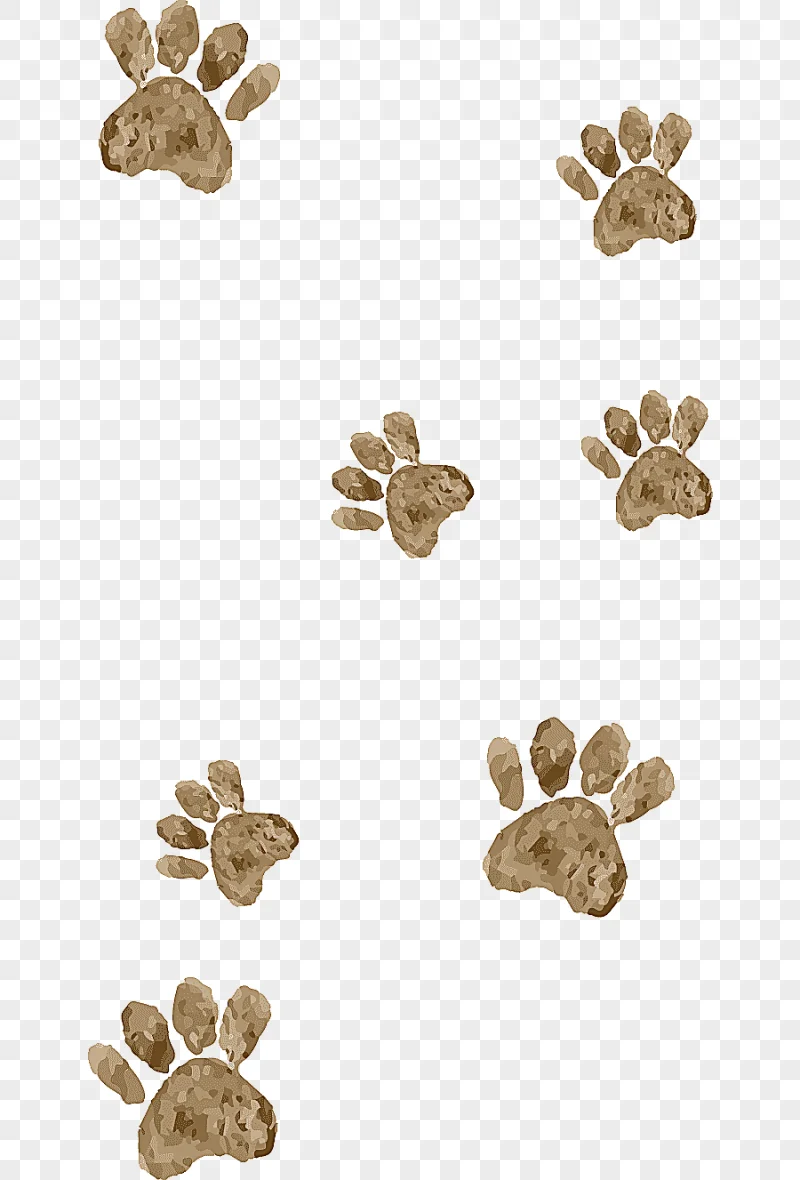 png clipart cartoon animal hand painted watercolor cartoon footprints watercolor painting
