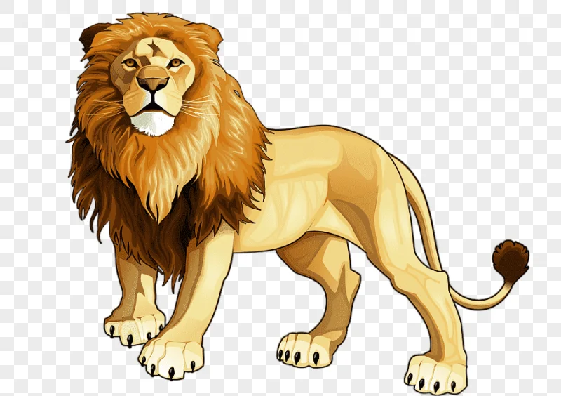 png clipart cartoon animal lion