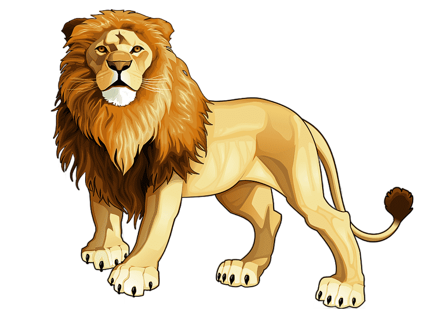 png clipart cartoon animal lion