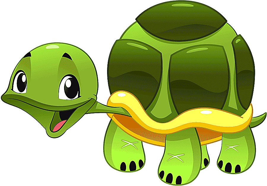png clipart cartoon animal turtle comics animals