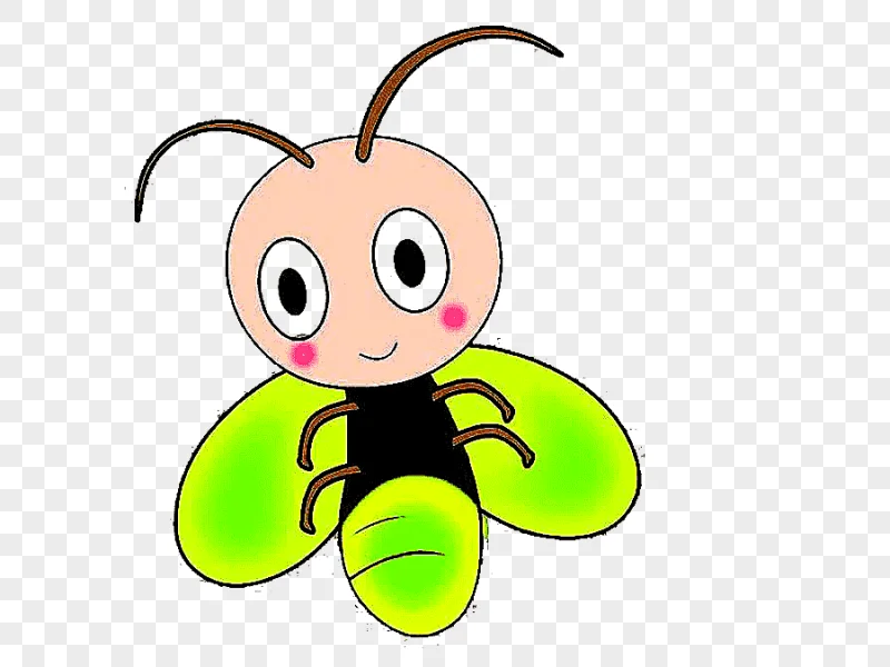 png clipart cartoon animation firefly green firefly animals green apple