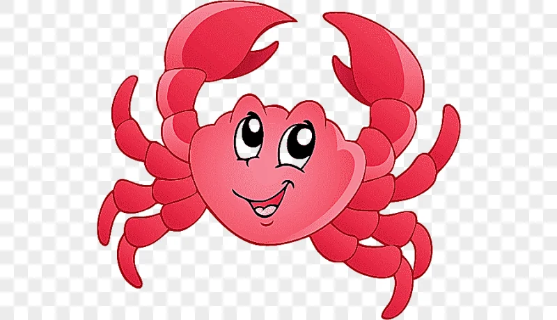 png clipart cartoon aquatic animal deep sea creature cartoon crab cartoon character marine