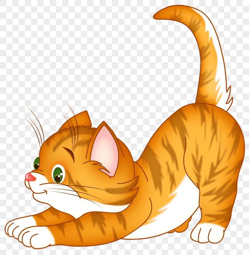 png clipart cartoon cat kitty animal