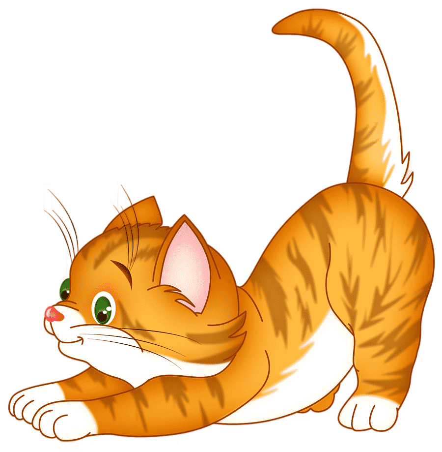 png clipart cartoon cat kitty animal