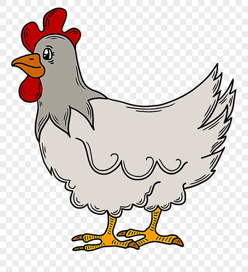 png clipart cartoon chicken chicken hen cartoon hen cartoon animal animal line art drawing