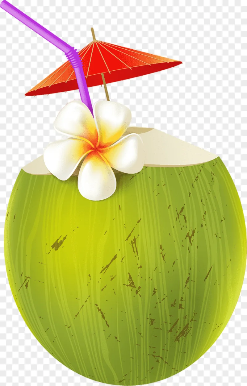 png clipart cartoon coconut juice summer drink green leaves