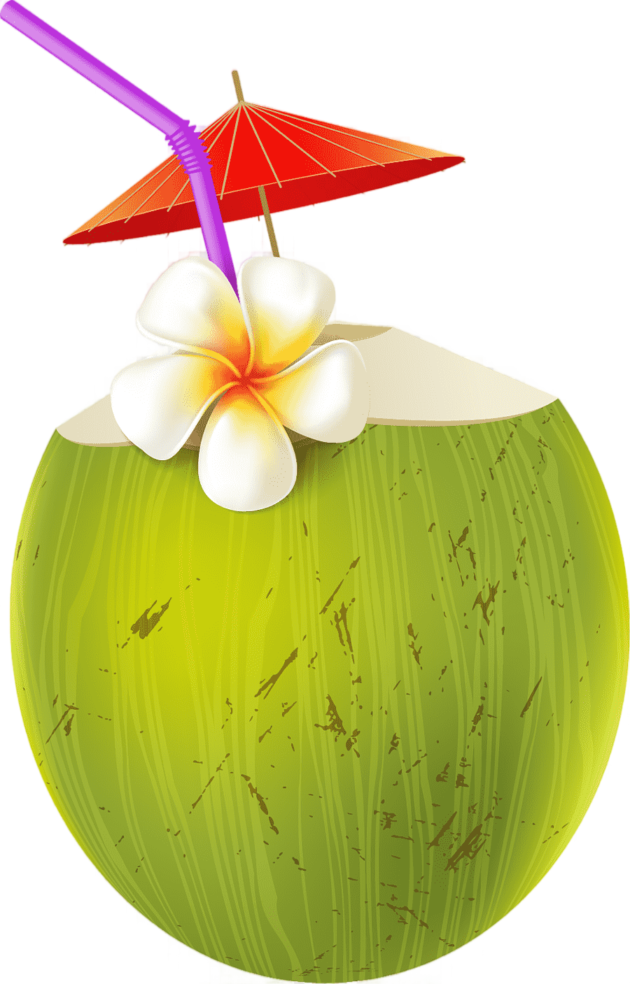 png clipart cartoon coconut juice summer drink green leaves