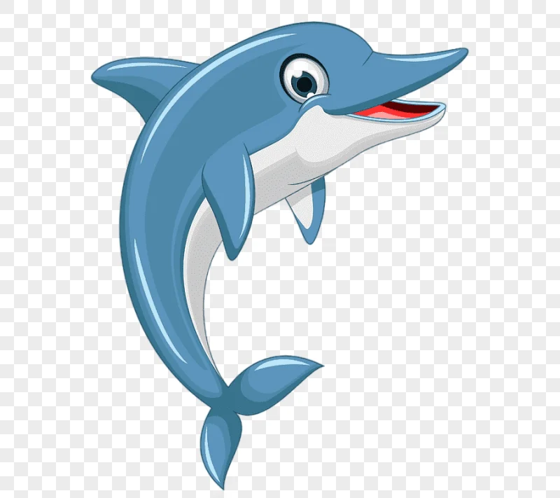 png clipart cartoon dolphin lovely dolphin