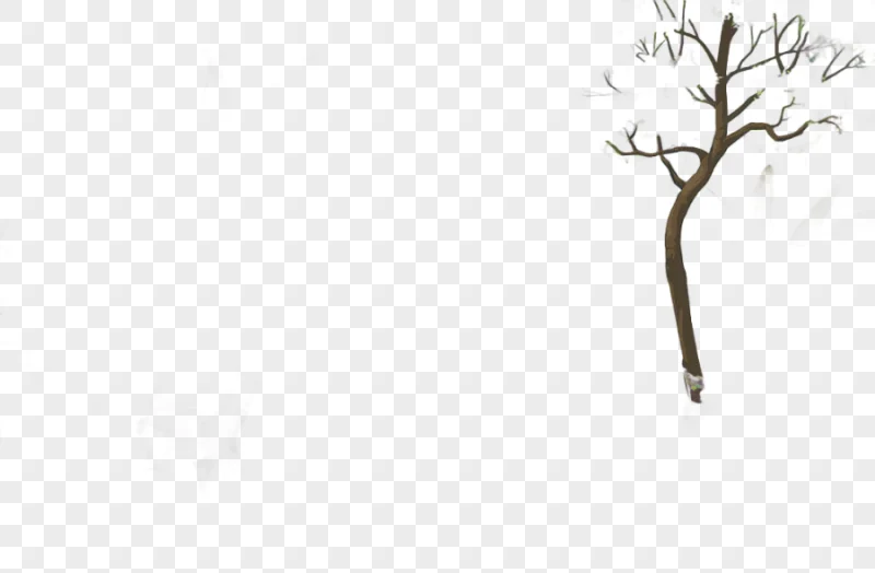 png clipart cartoon forest forest trees
