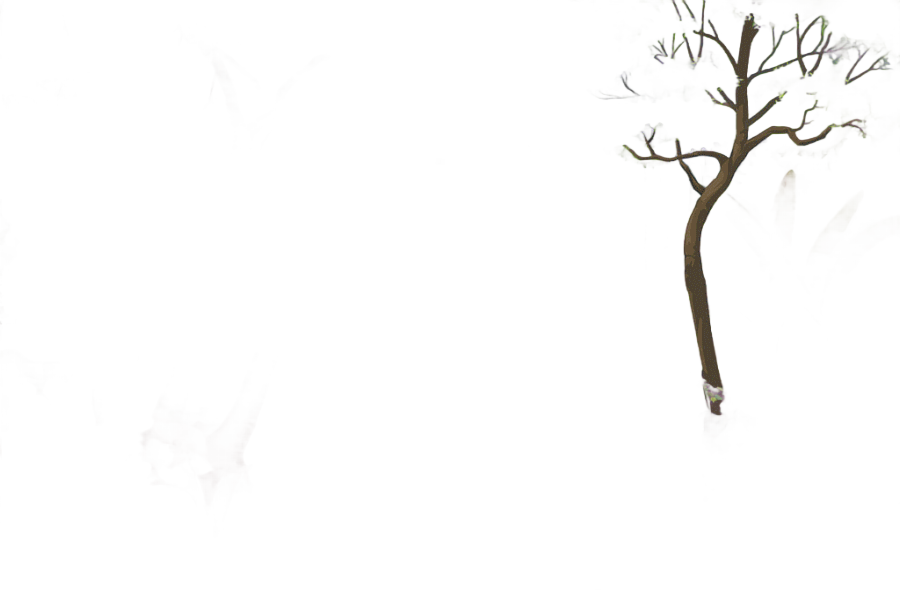 png clipart cartoon forest forest trees