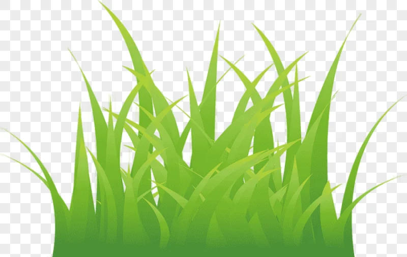 png clipart cartoon grass grass grass material
