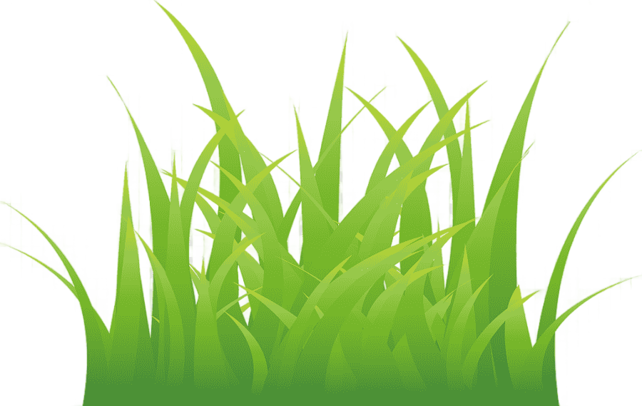 png clipart cartoon grass grass grass material