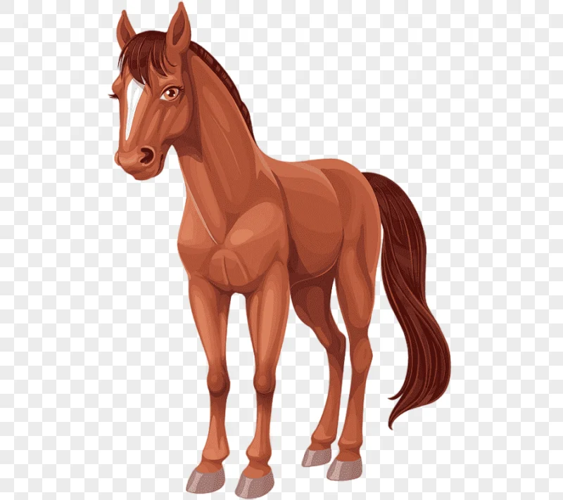 png clipart cartoon horse cartoon horses