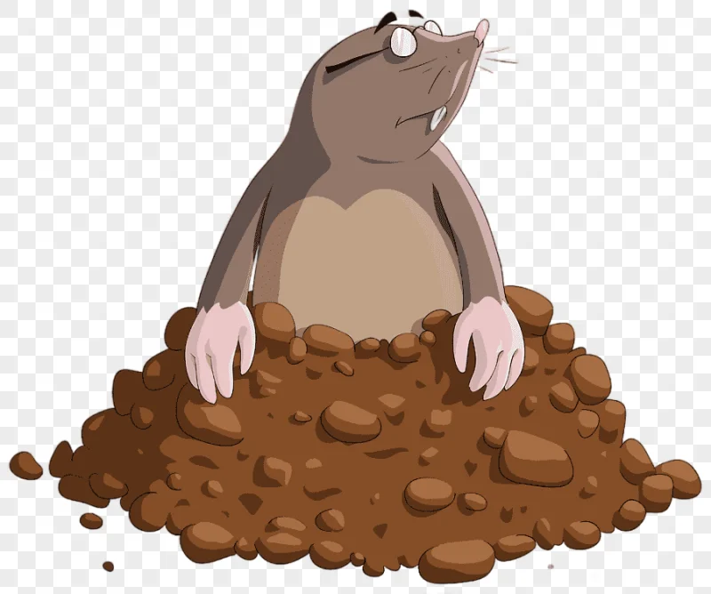 png clipart cartoon mole mole cartoon mammal food