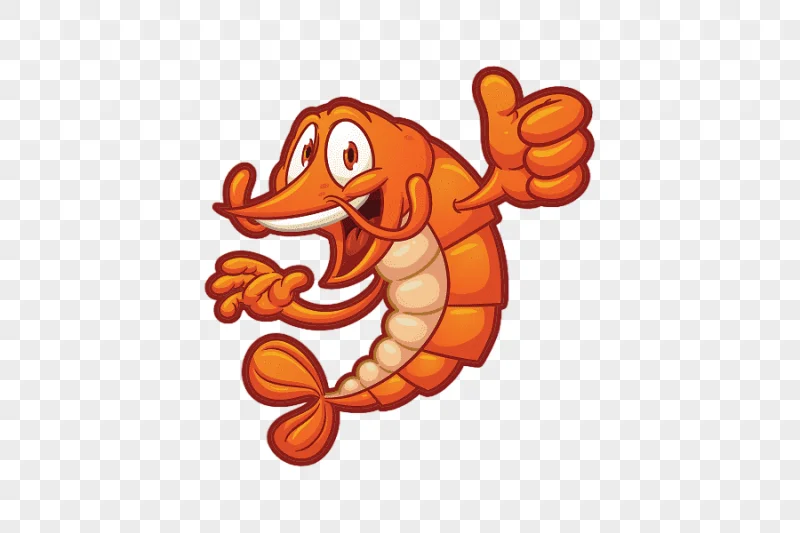 png clipart cartoon shrimp shrimps food animals