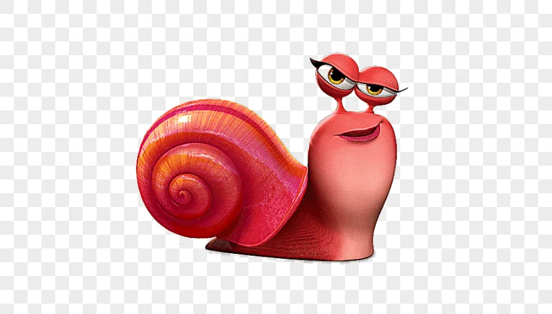 png clipart cartoon snail animation icon snails animals chicken