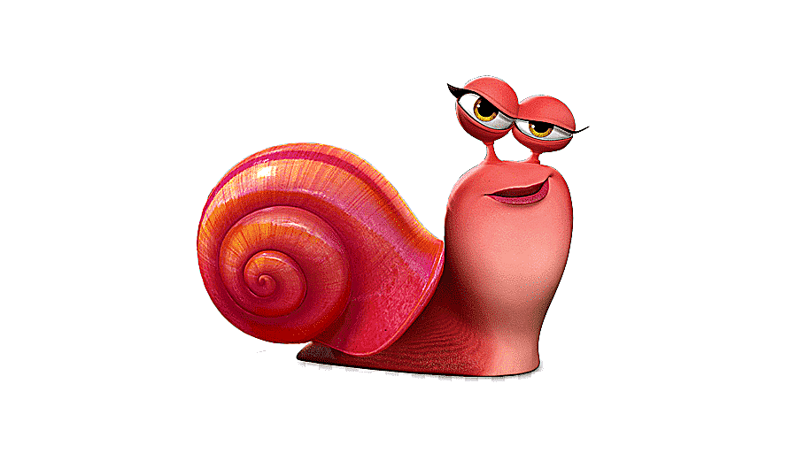 png clipart cartoon snail animation icon snails animals chicken