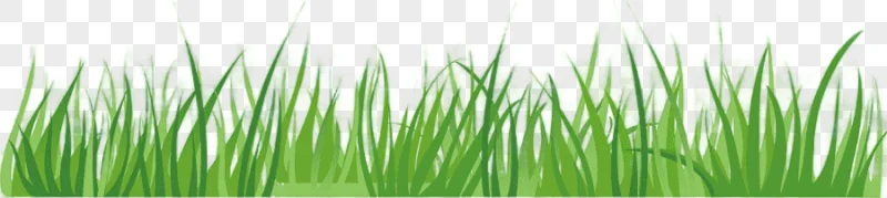 png clipart cartoon turf creative grassland vector turf