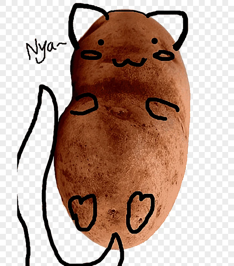 png clipart cat kitten french fries potato pusheen cat food animals