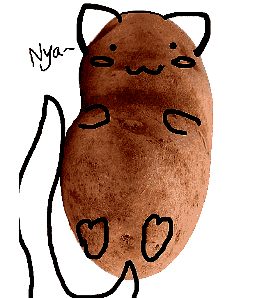 png clipart cat kitten french fries potato pusheen cat food animals