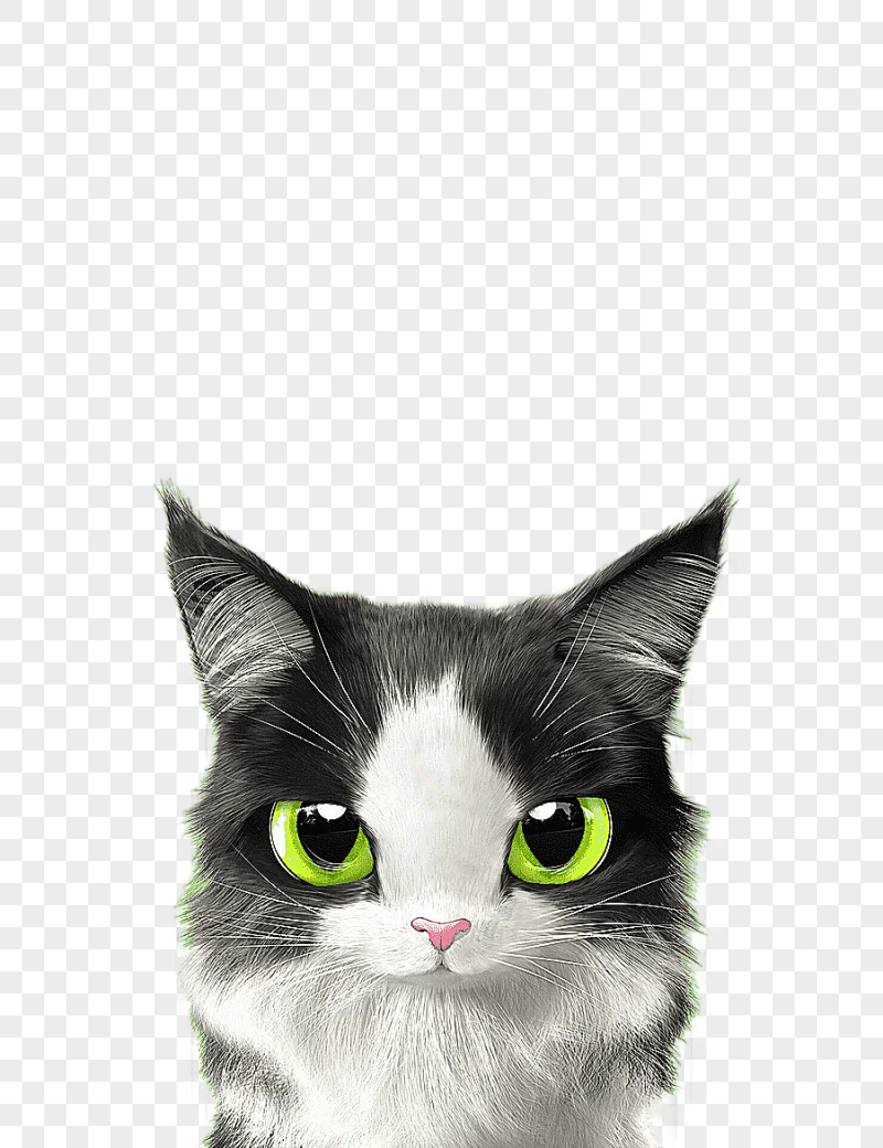 png clipart cat kitten mouse cuteness gift green eyed cat cat like mammal carnivoran
