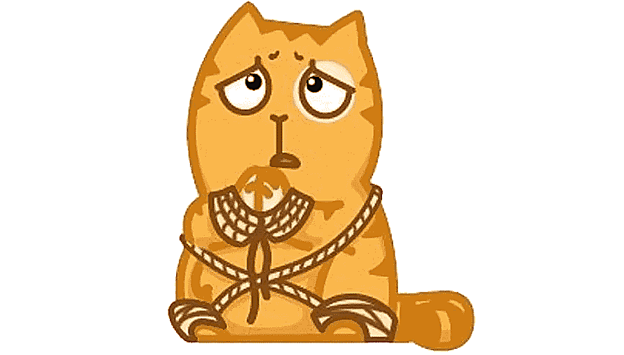 png clipart cat telegram sticker pusheen vkontakte cat