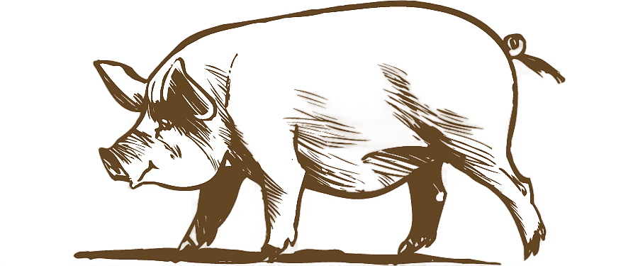 png clipart cattle pig chicken live pig mammal animals