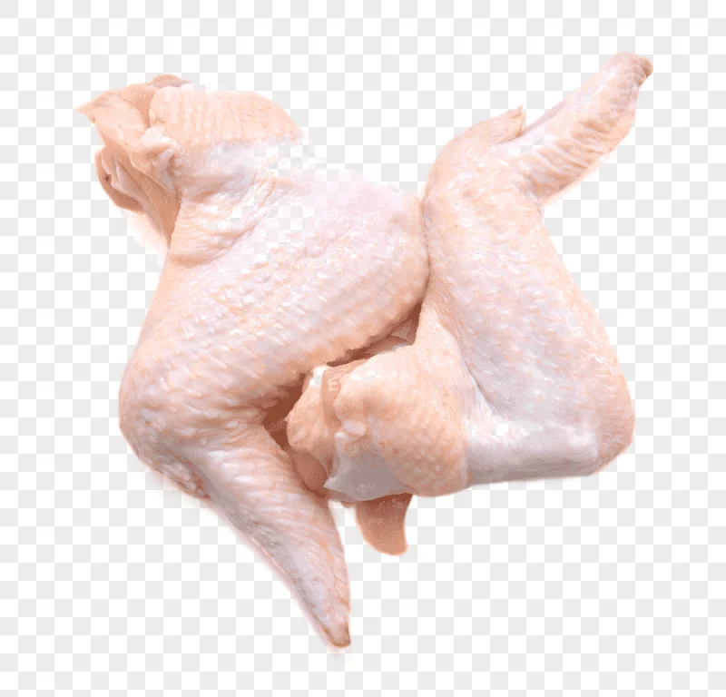 png clipart chicken as food buffalo wing chicken 65 hot dog chicken food animals