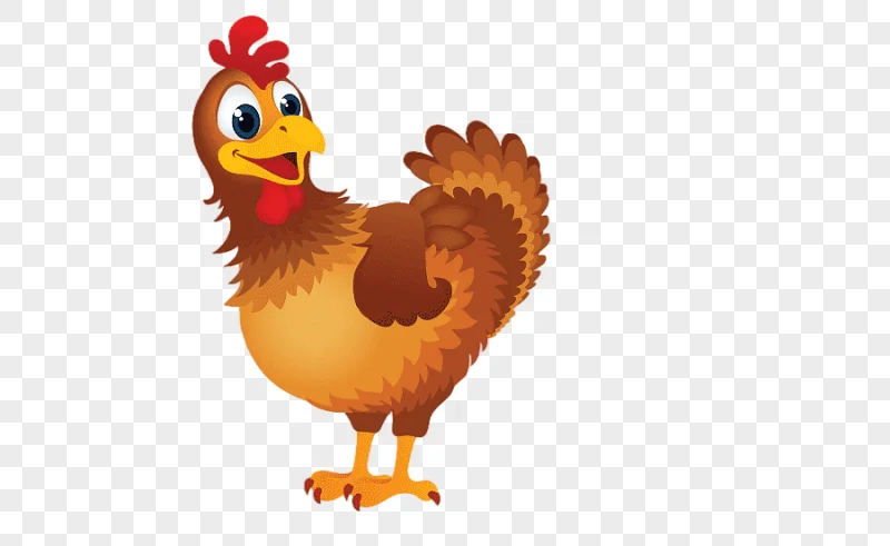 png clipart chicken as food graphics barbecue chicken chicken animals galliformes