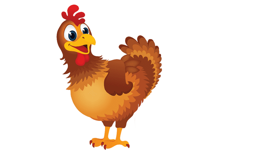 png clipart chicken as food graphics barbecue chicken chicken animals galliformes