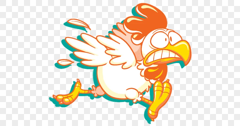 png clipart chicken as food hen drawing chicken animals chicken