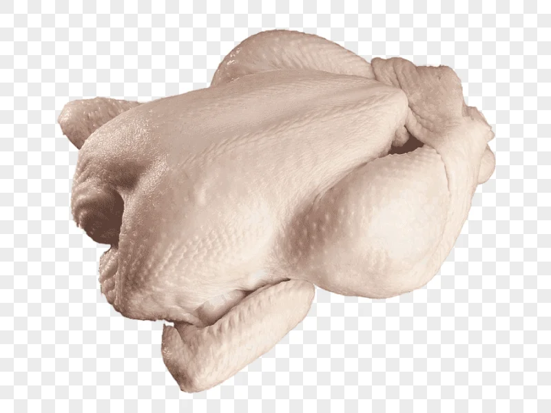 png clipart chicken as food poultry chicken leg frozen food chicken food animals
