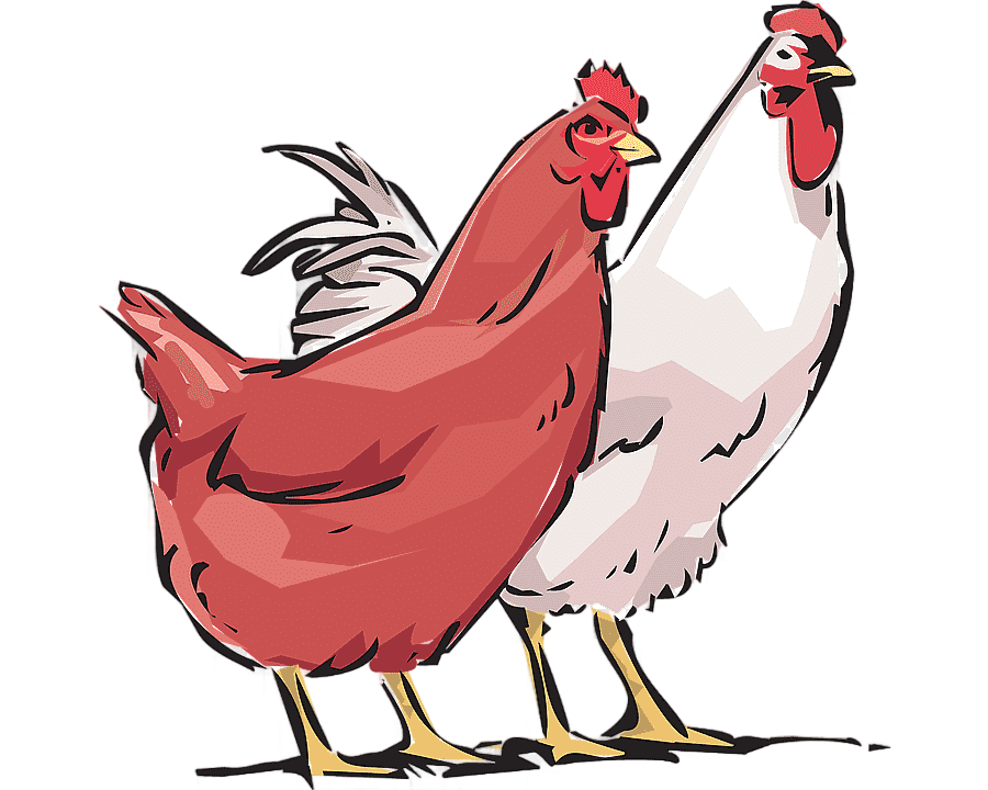 png clipart chicken as food poultry farming rooster cockhd food galliformes