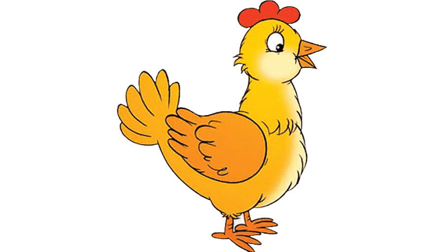 png clipart chicken cartoon chicken animals galliformes