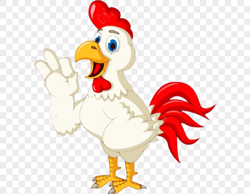 png clipart chicken cartoon chicken animals photography