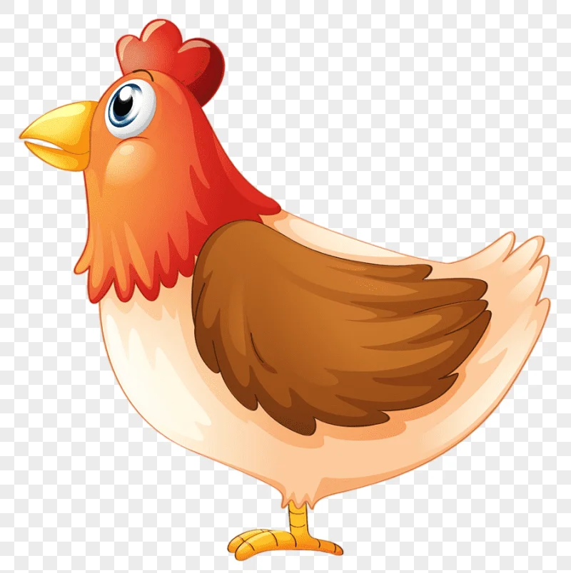 png clipart chicken cartoon mother chicken animals photography