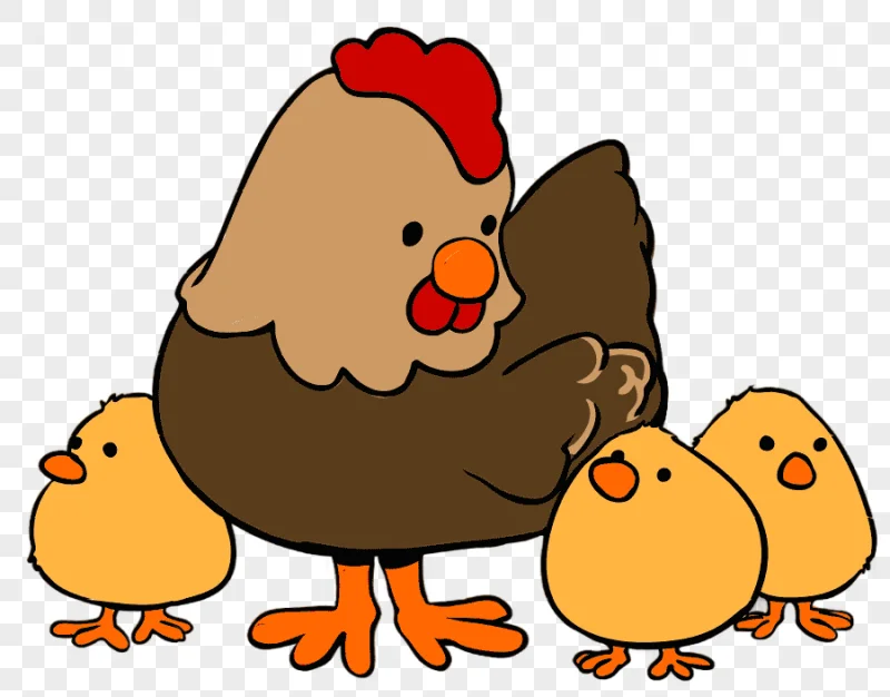 png clipart chicken cartoon rooster chickens food animals