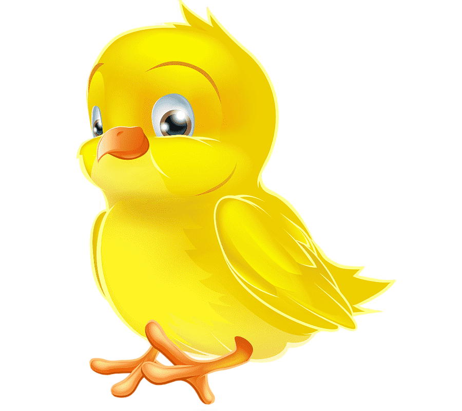 png clipart chicken chicken animals chicken