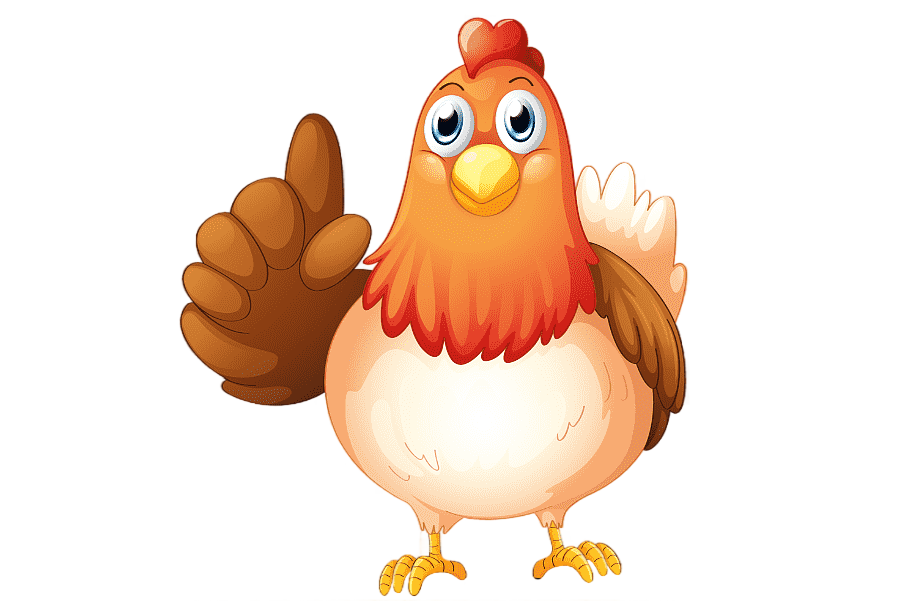 png clipart chicken chicken animals galliformes