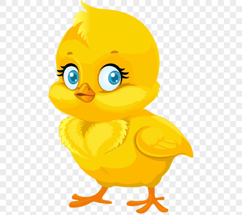 png clipart chicken drawing chicken animals photography