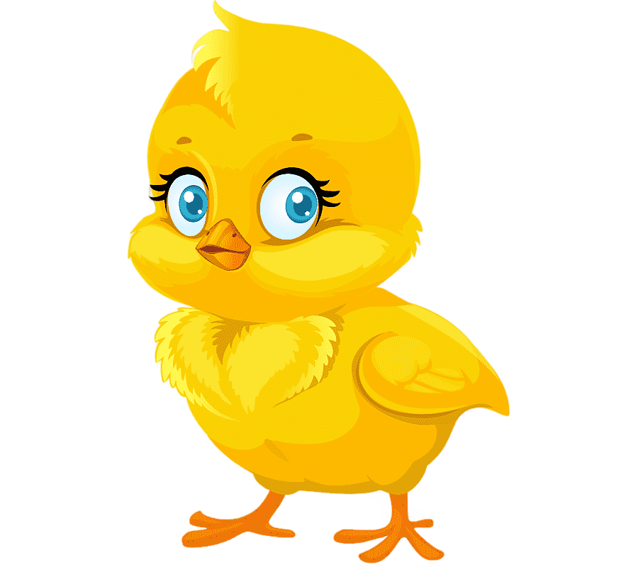 png clipart chicken drawing chicken animals photography