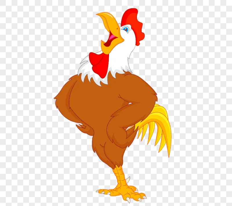 png clipart chicken drawing rooster granja zenon photography galliformes