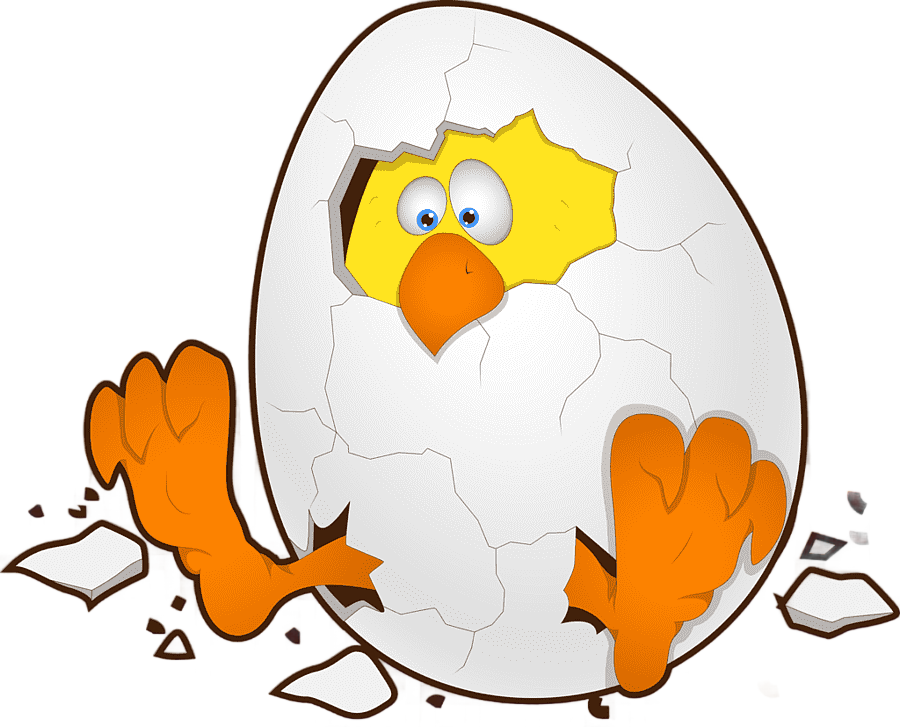 png clipart chicken easter egg cartoon chicken animals chicken