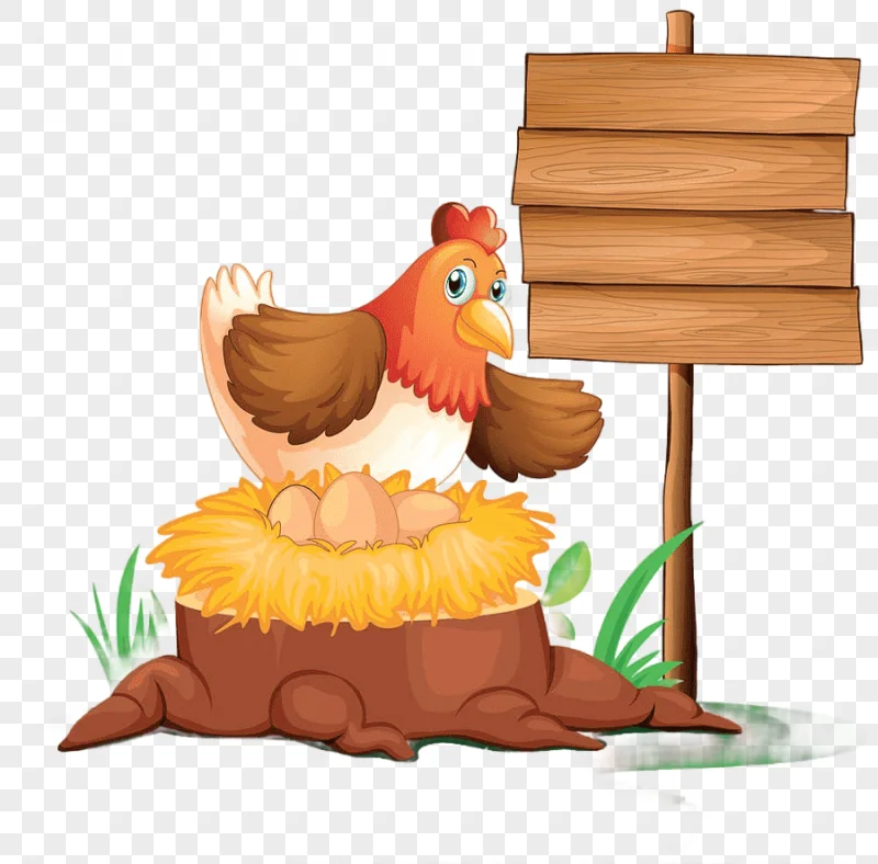 png clipart chicken egg cartoon hen road sign cartoon character galliformes